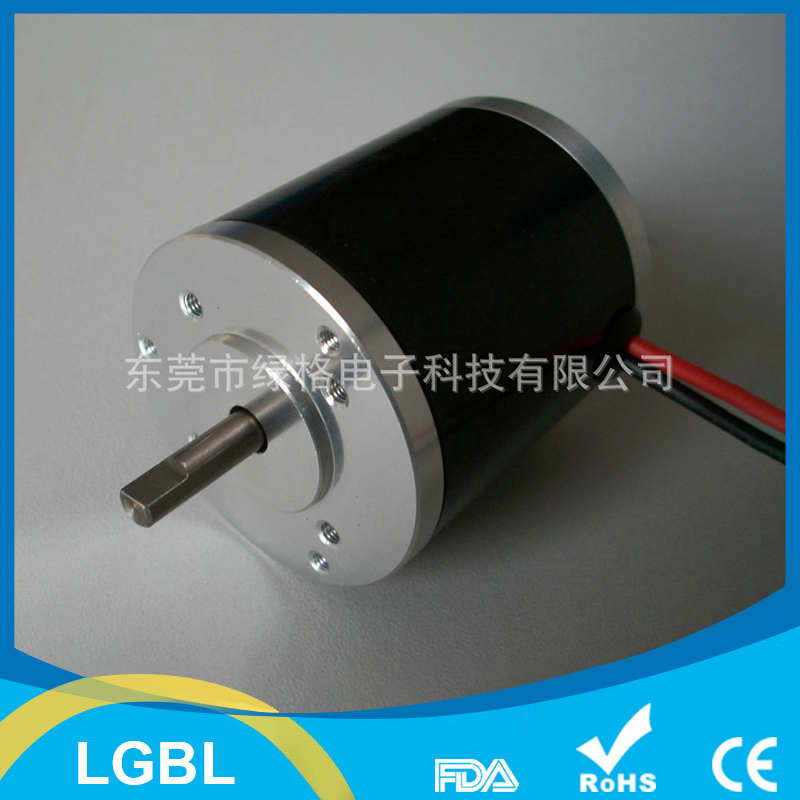 LGBL45小型无刷电机